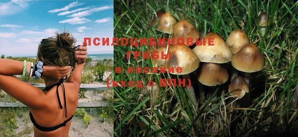 трава Абинск