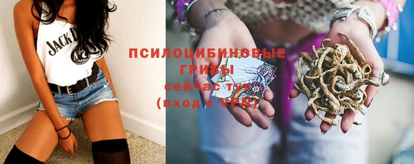 трава Абинск