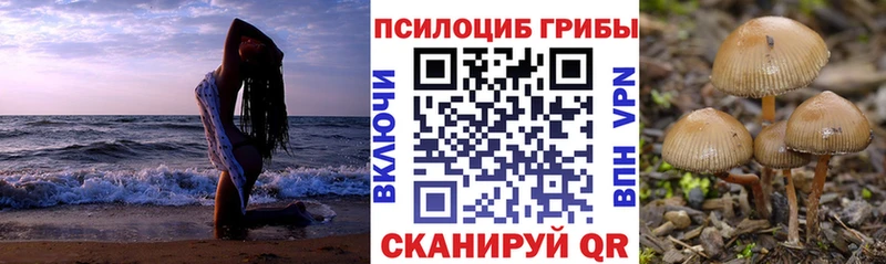 Галлюциногенные грибы мицелий  Переславль-Залесский 